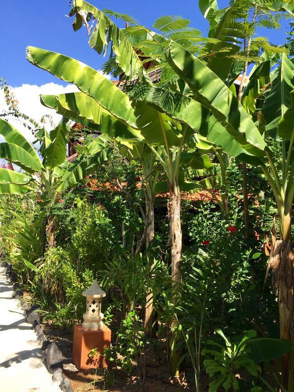 Mahogany Cottage Gili Meno Exterior foto